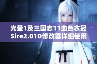 光晕1及三国志11血色衣冠Sire2.01D修改器详细使用指南分享