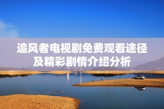 追风者电视剧免费观看途径及精彩剧情介绍分析