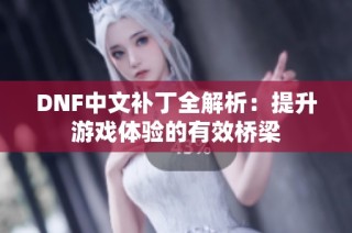 DNF中文补丁全解析：提升游戏体验的有效桥梁