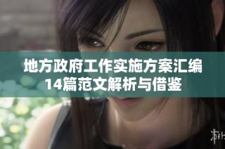 地方政府工作实施方案汇编14篇范文解析与借鉴