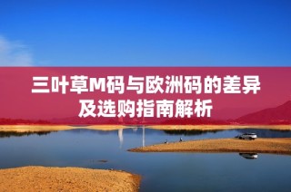 三叶草M码与欧洲码的差异及选购指南解析