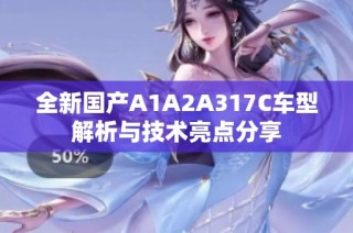 全新国产A1A2A317C车型解析与技术亮点分享