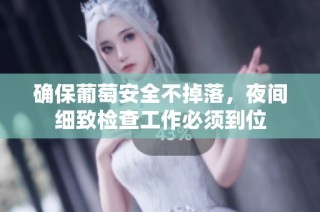 确保葡萄安全不掉落，夜间细致检查工作必须到位