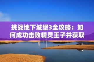 挑战地下城堡3全攻略：如何成功击败精灵王子并获取胜利秘诀