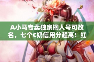 A小马专卖独家桐人号可改名，七个C奶信用分超高！红10狂战角色重6.2万