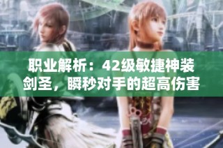 职业解析：42级敏捷神装剑圣，瞬秒对手的超高伤害揭秘
