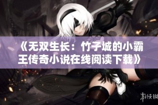 《无双生长：竹子城的小霸王传奇小说在线阅读下载》