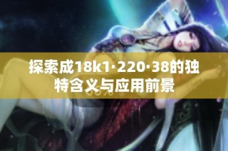 探索成18k1·220·38的独特含义与应用前景