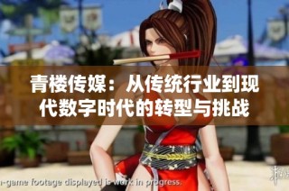 青楼传媒：从传统行业到现代数字时代的转型与挑战