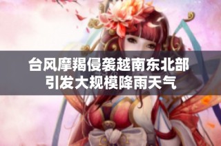 台风摩羯侵袭越南东北部 引发大规模降雨天气