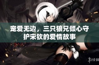 宠爱无边，三只狼兄倾心守护宋钦的爱情故事