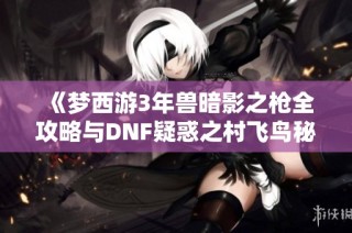 《梦西游3年兽暗影之枪全攻略与DNF疑惑之村飞鸟秘籍解析》