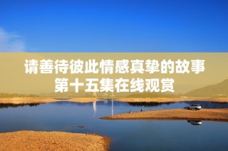 请善待彼此情感真挚的故事第十五集在线观赏