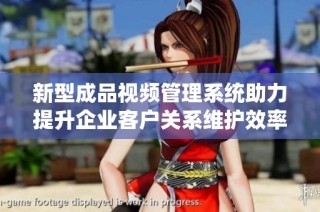 新型成品视频管理系统助力提升企业客户关系维护效率