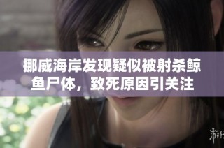 挪威海岸发现疑似被射杀鲸鱼尸体，致死原因引关注