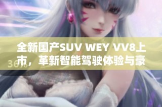 全新国产SUV WEY VV8上市，革新智能驾驶体验与豪华配置