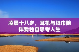 凌晨十八岁，耳机与纸巾陪伴我独自思考人生