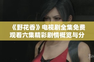 《野花香》电视剧全集免费观看六集精彩剧情概览与分析