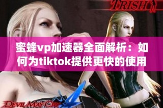 蜜蜂vp加速器全面解析：如何为tiktok提供更快的使用体验