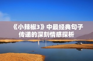 《小辣椒3》中最经典句子传递的深刻情感探析