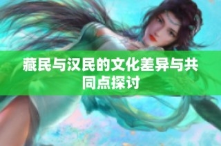 藏民与汉民的文化差异与共同点探讨