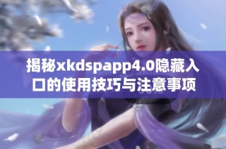 揭秘xkdspapp4.0隐藏入口的使用技巧与注意事项