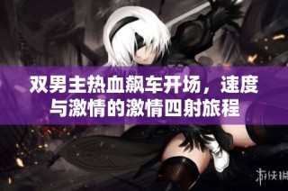 双男主热血飙车开场，速度与激情的激情四射旅程