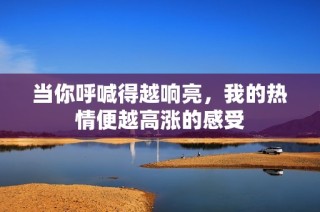 当你呼喊得越响亮，我的热情便越高涨的感受