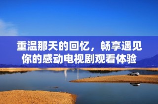 重温那天的回忆，畅享遇见你的感动电视剧观看体验