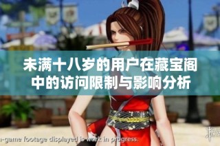 未满十八岁的用户在藏宝阁中的访问限制与影响分析