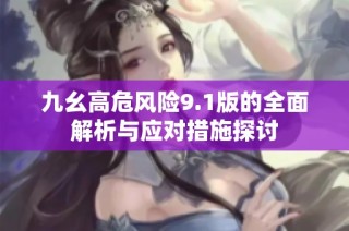 九幺高危风险9.1版的全面解析与应对措施探讨