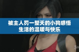 被主人罚一整天的小狗感悟生活的温暖与快乐