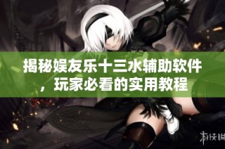揭秘娱友乐十三水辅助软件，玩家必看的实用教程