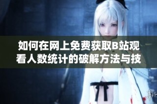 如何在网上免费获取B站观看人数统计的破解方法与技巧