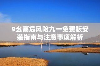 9幺高危风险九一免费版安装指南与注意事项解析