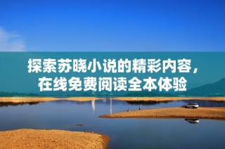 探索苏晓小说的精彩内容，在线免费阅读全本体验