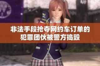非法手段抢夺网约车订单的犯罪团伙被警方捣毁