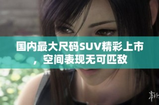 国内最大尺码SUV精彩上市，空间表现无可匹敌