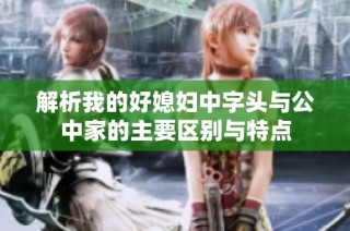 解析我的好媳妇中字头与公中家的主要区别与特点