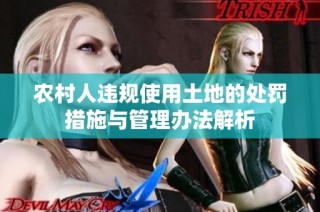 农村人违规使用土地的处罚措施与管理办法解析