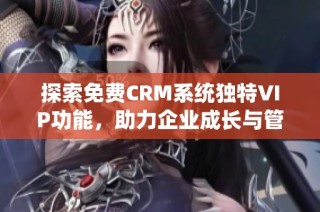 探索免费CRM系统独特VIP功能，助力企业成长与管理