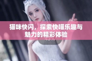 猫咪快闪，探索快喵乐趣与魅力的精彩体验