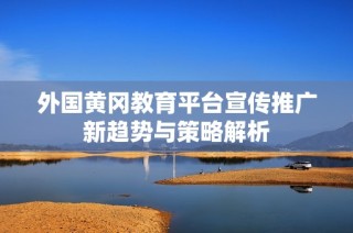 外国黄冈教育平台宣传推广新趋势与策略解析