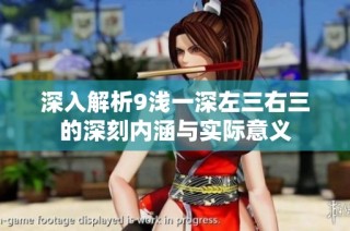 深入解析9浅一深左三右三的深刻内涵与实际意义