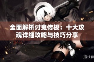 全面解析讨鬼传极：十大攻魂详细攻略与技巧分享