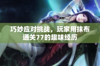 巧妙应对挑战，玩家用抹布通关77的趣味经历