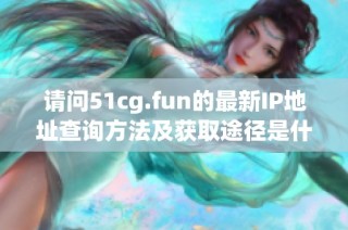 请问51cg.fun的最新IP地址查询方法及获取途径是什么