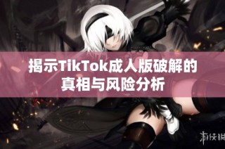 揭示TikTok成人版破解的真相与风险分析
