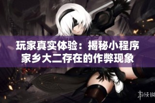 玩家真实体验：揭秘小程序家乡大二存在的作弊现象