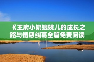 《王府小奶娘婉儿的成长之路与情感纠葛全篇免费阅读》